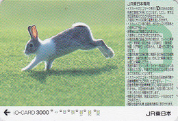 Carte Prépayée Japon - ANIMAL - LAPIN - RABBIT Japan JR IO Card - KANINCHEN - KONIJN - CONEJO - 239 - Kaninchen