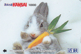 Carte Prépayée JAPON - ANIMAL - LAPIN & Carotte - RABBIT JAPAN Lagare Card - KANINCHEN - KONIJN - CONEJO - 240 - Konijnen