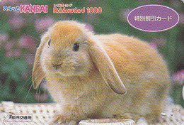 Rare Carte Prépayée Japon - ANIMAL - LAPIN - RABBIT Japan Rainbow Card - KANINCHEN - CONEJO - 242 - Lapins