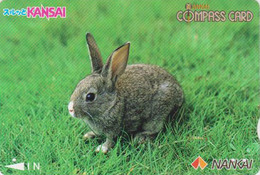 Rare Carte Japon -  ANIMAL - LAPIN - RABBIT Japan Prepaid Nankai Card - KANINCHEN - CONIGLIO - CONEJO - 244 - Conejos