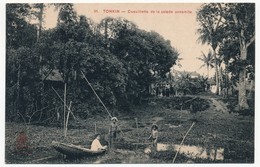 CPA - TONKIN - Cueillette De La Salade Annamite - Viêt-Nam