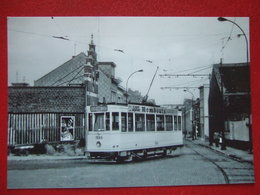 BELGIQUE - BRUXELLES - PHOTO 14.2 X 10 - TRAM - TRAMWAY - LIGNE 88 - - Vervoer (openbaar)