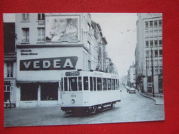 BELGIQUE - BRUXELLES - PHOTO 15 X 10 - TRAM - TRAMWAY - LIGNE 88 - MAGASIN " VEDEA " - - Trasporto Pubblico Stradale