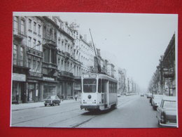 BELGIQUE - BRUXELLES - PHOTO 15 X 10 - TRAM - TRAMWAY - LIGNE 81 - BD LEMONNIER - - Vervoer (openbaar)