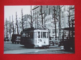 BELGIQUE - BRUXELLES - PHOTO 15 X 10 - TRAM - TRAMWAY -  LIGNE 88 - - Vervoer (openbaar)
