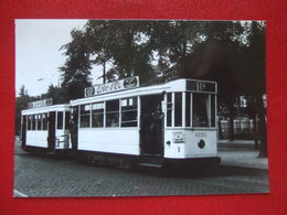 BELGIQUE - BRUXELLES - PHOTO 15 X 10 - TRAM - TRAMWAY -  LIGNE 16 -VICINAL ? - - Public Transport (surface)
