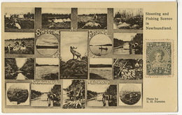 Terre Neuve Newfoundland   Shooting And Fishing Peche Et Chasse Photo Parsons Stamp But Not Used - Sonstige & Ohne Zuordnung