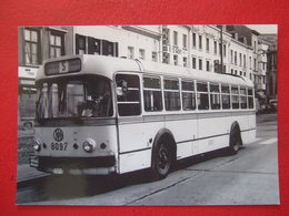 BELGIQUE - BRUXELLES - ANVERS PHOTO 15 X 10 - TRAM - TRAMWAY - BUS -  LIGNE  S - - Transporte Público