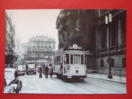 BELGIQUE - BRUXELLES - PHOTO 14.5 X 10 - TRAM - TRAMWAY  -  LIGNE  5  - - Trasporto Pubblico Stradale