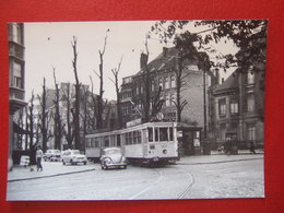 BELGIQUE - BRUXELLES - PHOTO 13.5 X 9.8 - TRAM - TRAMWAY - BUS -  LIGNE 91 - - Nahverkehr, Oberirdisch