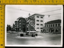 Varese Busto Arsizio F - Busto Arsizio