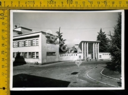 Varese Busto Arsizio F - Busto Arsizio