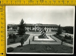 Varese Busto Arsizio F - Busto Arsizio