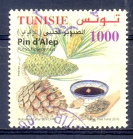 TUNESIE  ( CWER 186) - Tunisia