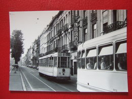 BELGIQUE - BRUXELLES - PHOTO 15 X 10 - TRAM - TRAMWAY  - LIGNE 81 - MAGASIN LUCAS - - Trasporto Pubblico Stradale