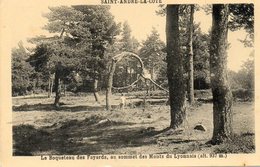 CPA - SAINT-ANDRE-la-COTE (69) - Thème : Arbre - Aspect Du Boqueteau Des Hêtres FAYARDS En 1943 - Saint-André-la-Côte