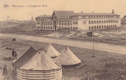 Delcampe - Wenduine, L'institut G Born (pk50102) - Wenduine
