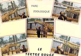 ** Lot De 2 Cartes ** PARC ZOOLOGIQUE Du TERTRE ROUGE - CPSM Dentelée GF 1960's  - Sarthe - Solesmes