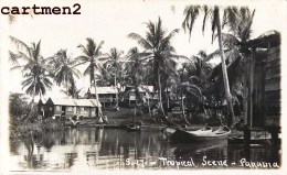 CARTE PHOTO : PANAMA TROPICAL SCENE COLON REAL PHOTO PANAMA - Panama