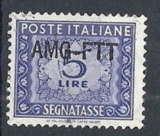 1949-54 TRIESTE A USATO SEGNATASSE 1 RIGA 5 LIRE - RR12625 - Postage Due