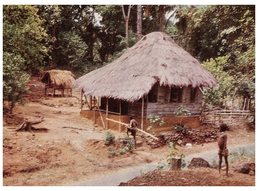 (200) Sierra Leone - Native Dwelling - Sierra Leone