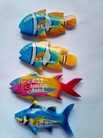 Four Fish - Tourism