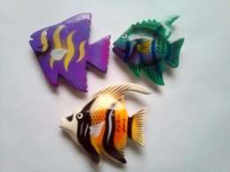 3 Fish - Tourisme