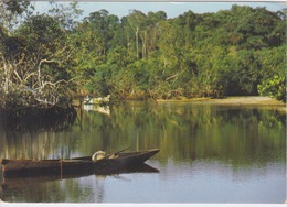 REPUBLIQUE DU GABON - LA MANGROVE - Gabon