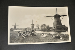 854- Kinderdijk - 1955 - Kinderdijk