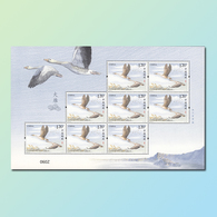 China 2018 - One Sheetlet Of Wild Goose Greese Bird Birds Fauna Nature M/S Stamps MNH 2018-22 - Oies