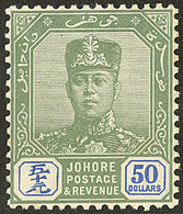 * JOHORE. No 102 (SG #126). - TB - Johore