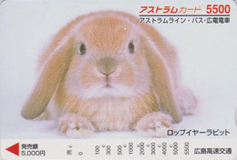 Carte Japon - ANIMAL - LAPIN 5500 - RABBIT Japan Prepaid Card - KANINCHEN CONIGLIO CONEJO  - FR 269 - Conejos