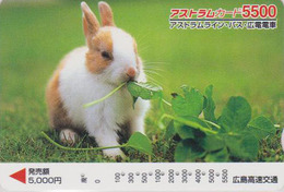 Carte Japon - ANIMAL - LAPIN 5500 - RABBIT Japan Prepaid Card - KANINCHEN CONIGLIO CONEJO  - FR 270 - Conejos