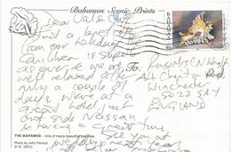 Delcampe - Bahamas 1998 Shell Lace Short-frond Murex Viewcard - Bahamas (1973-...)