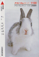 Carte Japon - ANIMAL - LAPIN 1100  - RABBIT Japan Prepaid Card - KANINCHEN CONIGLIO Giappone  - FR 275 - Conigli