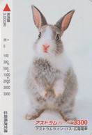 Carte Japon - ANIMAL - LAPIN 3300  - RABBIT Japan Prepaid Card - KANINCHEN CONIGLIO Giappone  - FR 276 - Konijnen