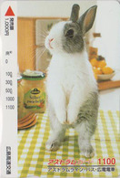 Carte Japon - ANIMAL - LAPIN 1100  - RABBIT Japan Prepaid Card - KANINCHEN CONIGLIO CONEJO  - FR 277 - Kaninchen