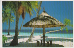 Maldives Circulated Postcard (ask For Verso / Demander Le Verso) - Maldive