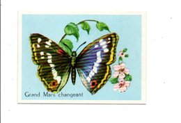CHROMOS BON POINT - PAPILLONS - GRAND MARS CHANGEANT - Other