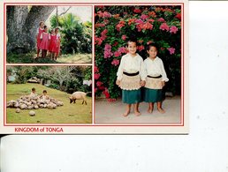 (201) Kingdom Of Tonga Postcard - Tonga