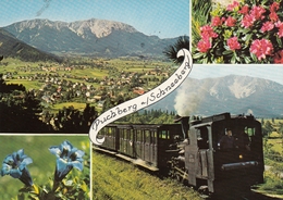 Puchberg A Schneeberg - Schneebergbahn , Bergbahn , Bahn , Train 1978 - Schneeberggebiet