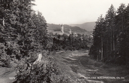 Schloss Waldhausen 1962 - Perg