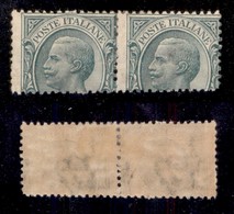 REGNO D'ITALIA - 1906 - 5 Cent Leoni (81) - Coppia Orizzontale Con Dentellatura Inferiore Spostata In Alto (senza Valore - Altri & Non Classificati