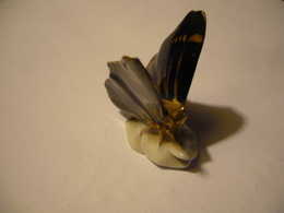 Porzellan Schmetterling (609) Preis Reduziert - Dresdner Porzellan (DEU)