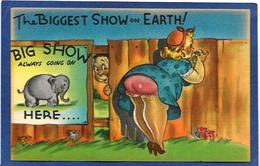 CPSM éléphant Humour Humor Non Circulé - Elefantes