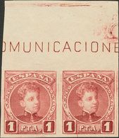 (*)253s(2). 1901. 1 Pts Carmín, Pareja, Borde De Hoja. SIN DENTAR. MAGNIFICA. Edifil 2018: +224 Euros - Sonstige & Ohne Zuordnung