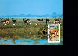 1 Timbre  Zambia  Zambie   50 N    Non Circulée   Sur Carte Postale  Année 1988  Antilope    WWF - Lettres & Documents