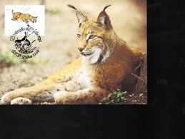 1 Timbre  Portugal   27.       1988    Sur Carte Postale     Non Circulée     Der Luchs  Les Lynx     WWF - Lettres & Documents