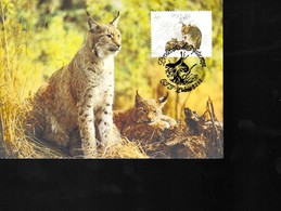 1 Timbre  Portugal   27.       1988    Sur Carte Postale     Non Circulée     Der Luchs  Les Lynx     WWF - Briefe U. Dokumente