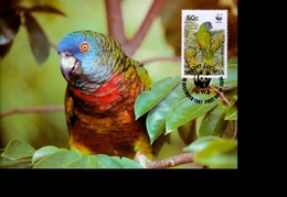 1 Timbre   Saint Lucia   50 C    Année 1987  Sur Carte Postale    Non Circulée     Péroquet   Die Blaustirnamazone   WWF - Briefe U. Dokumente